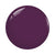 Gelixir Acrylic & Powder Dip Nails 034 Sweet Grape - Purple Colors