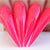 Kiara Sky Gel Polish 563 - Pink Neon Colors - Cherry On Top